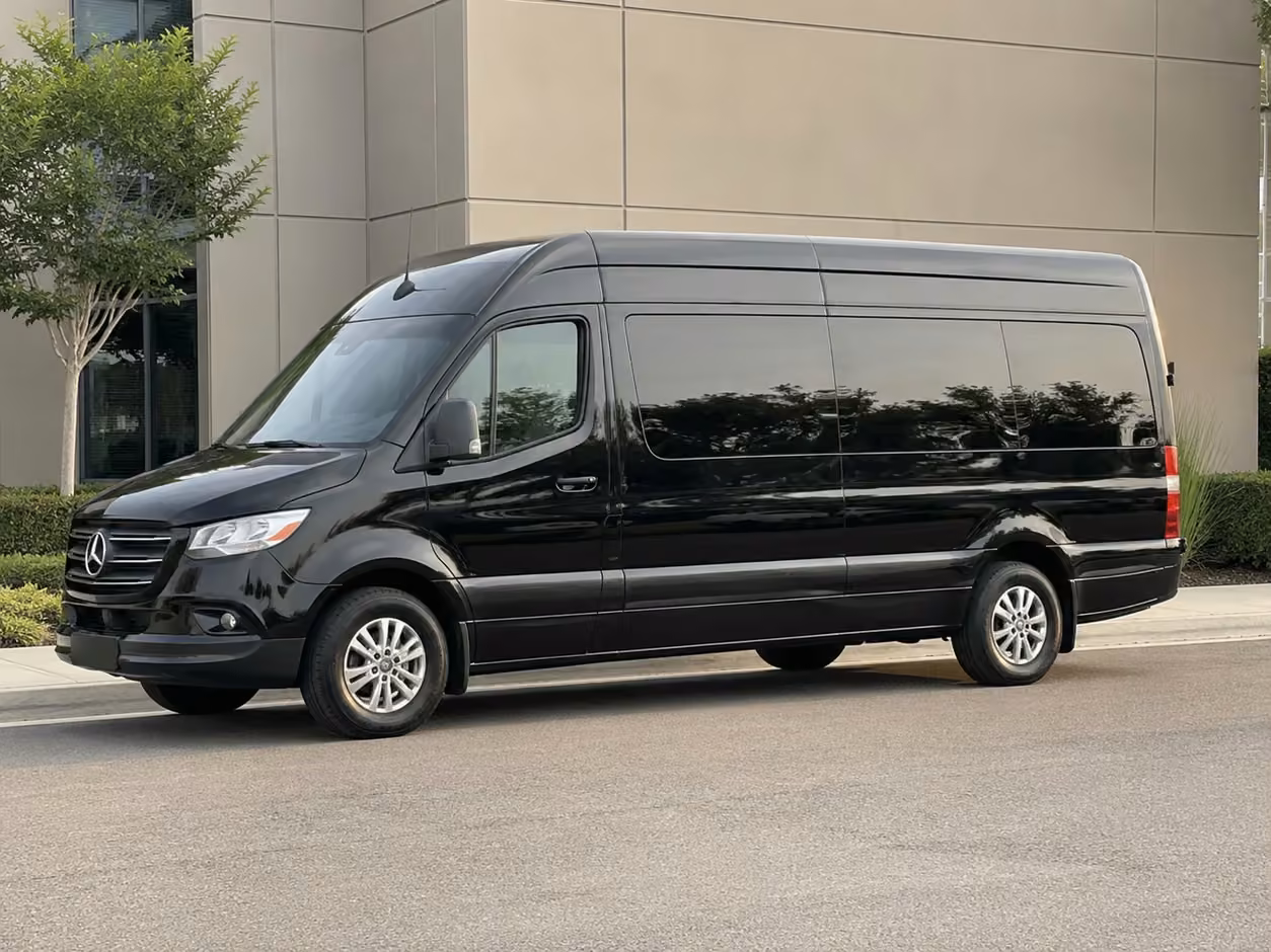 14 passenger sprinter limousine